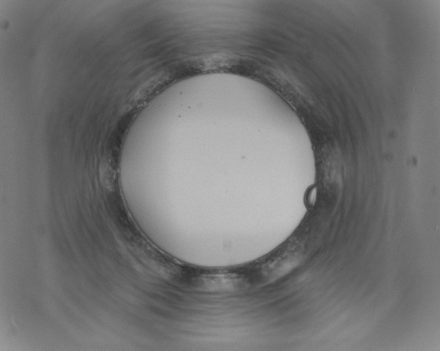 X0000074280316200609151858