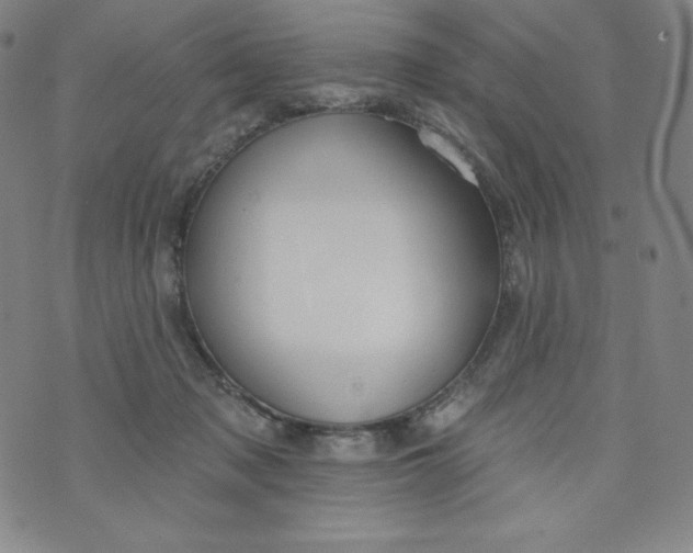 X0000074280317200609151858