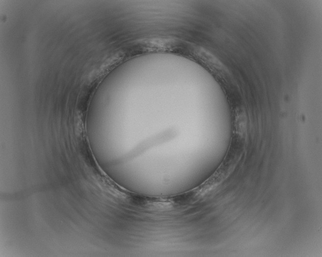 X0000074280318200609151858