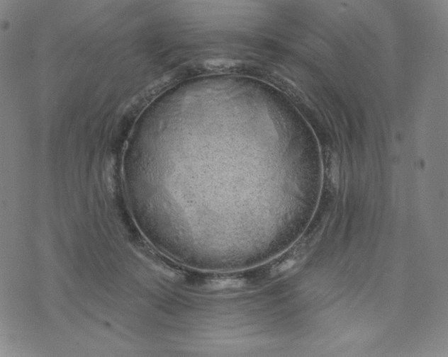 X0000074280319200609151858