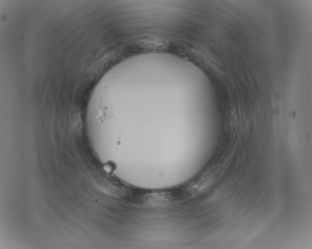 X0000074280320200609151858