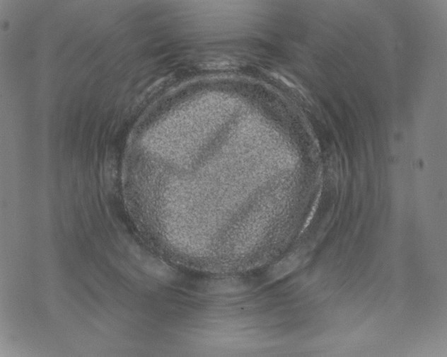 X0000074280322200609151858