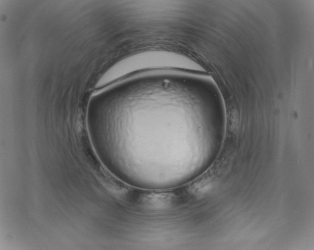 X0000074280323200609151858