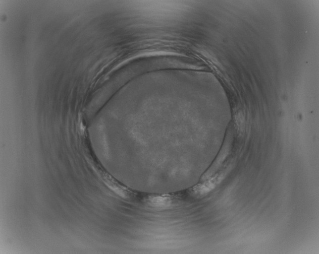 X0000074280325200609151858