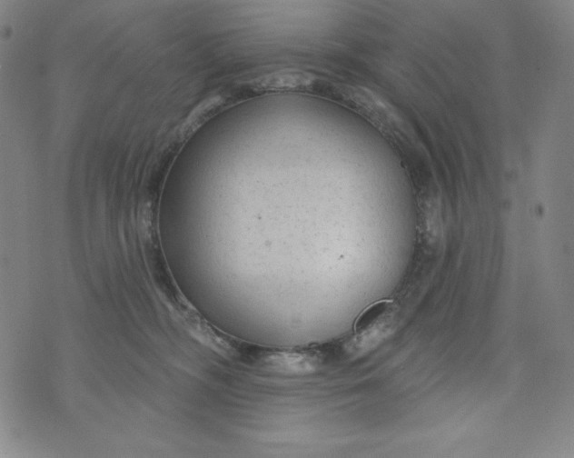 X0000074280326200609151858