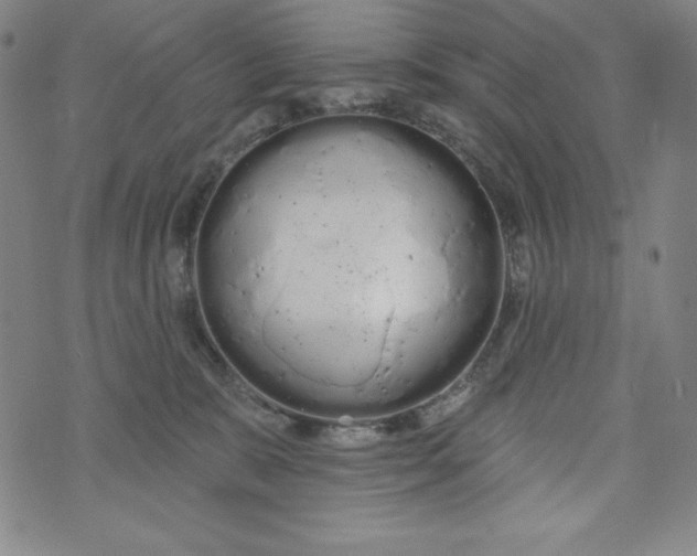 X0000074280327200609151858