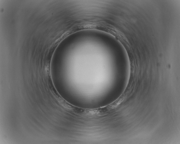 X0000074280329200609151858