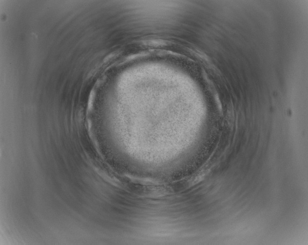 X0000074280330200609151858