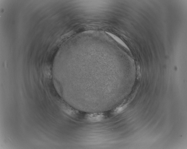 X0000074280331200609151858