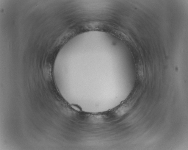 X0000074280332200609151858