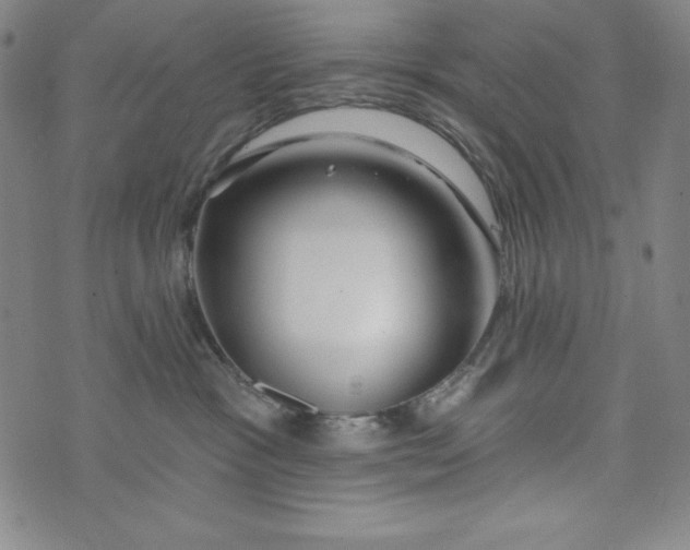 X0000074280333200609151858