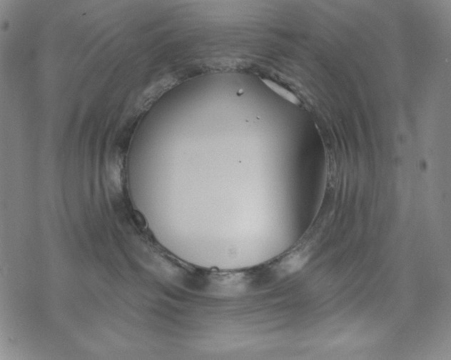 X0000074280334200609151858