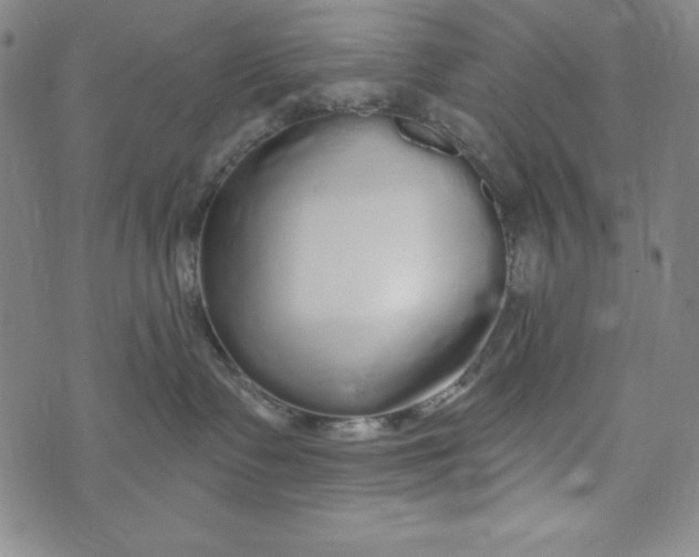 X0000074280335200609151858