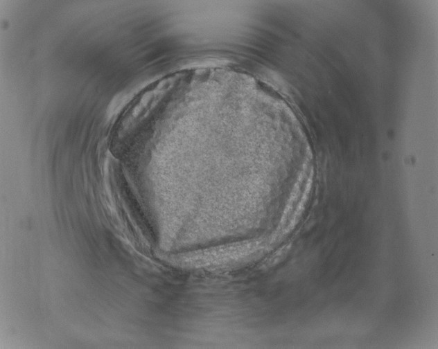 X0000074280337200609151857