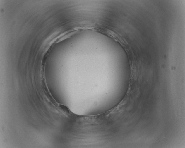 X0000074280338200609151857