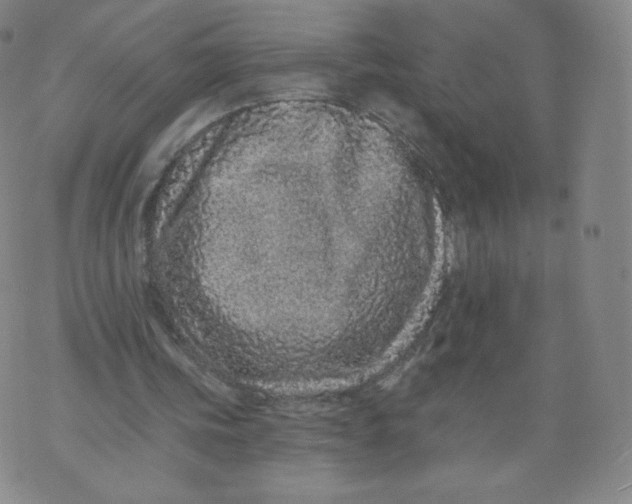 X0000074280339200609151857