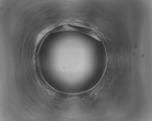 X0000074280340200609151857