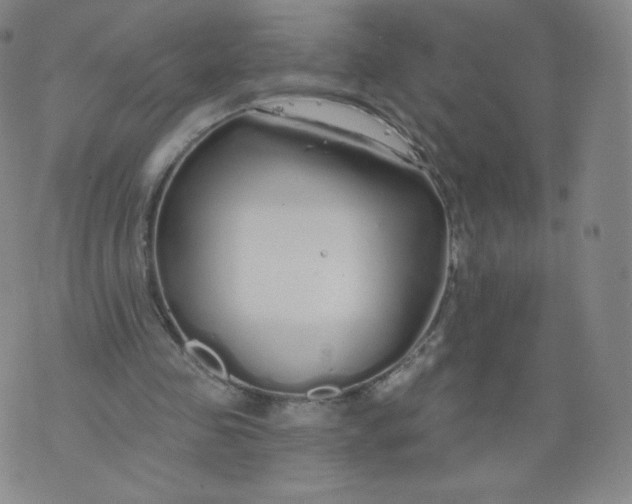 X0000074280341200609151857