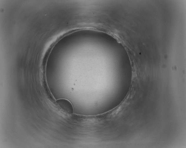 X0000074280342200609151857