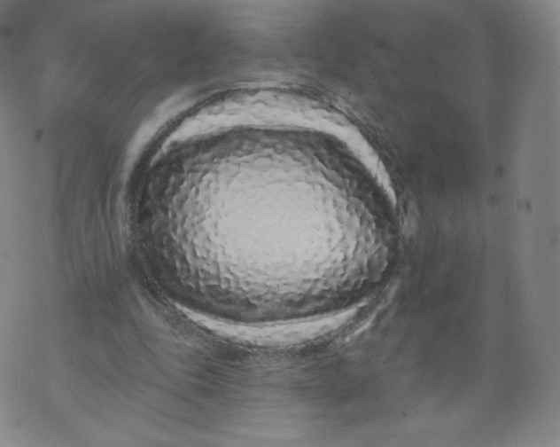 X0000074280343200609151857