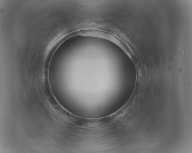 X0000074280344200609151857