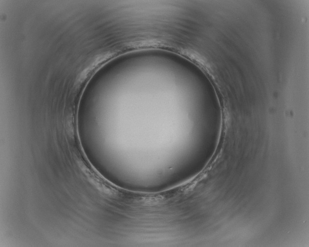 X0000074280345200609151857