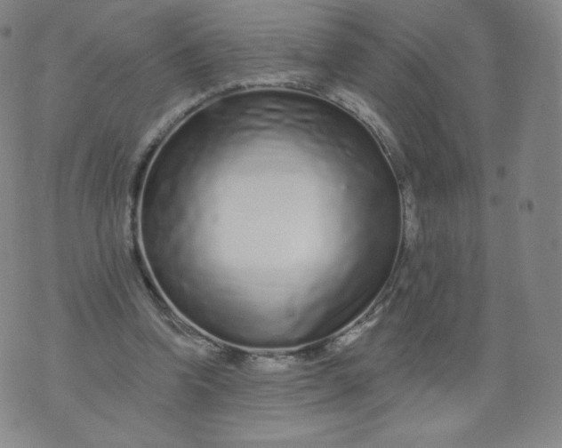 X0000074280346200609151857