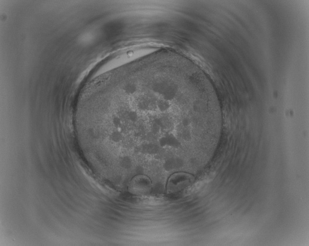 X0000074280347200609151857