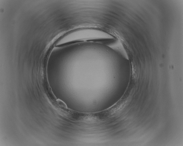 X0000074280348200609151857