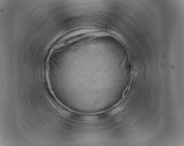 X0000074280349200609151857