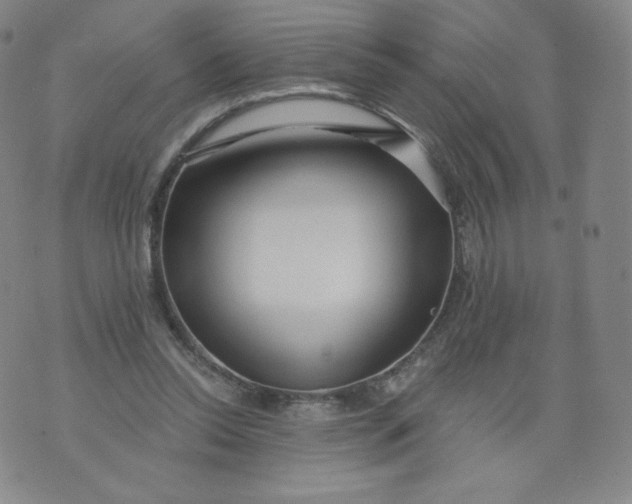 X0000074280350200609151857