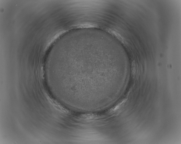 X0000074280351200609151857