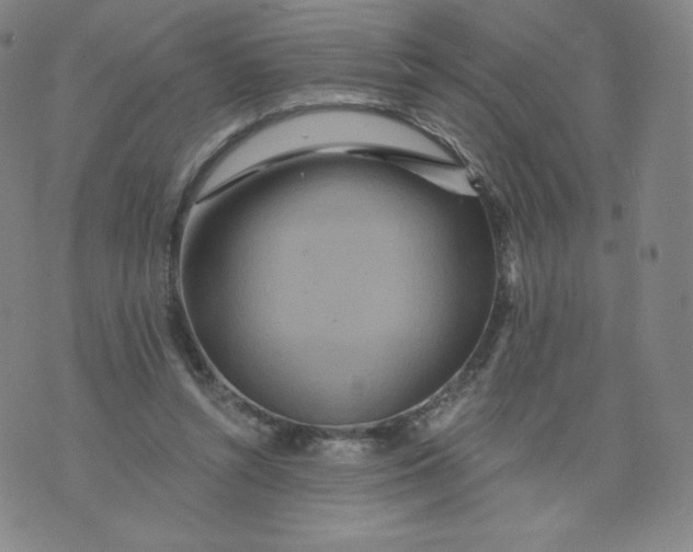 X0000074280352200609151857