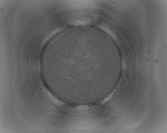 X0000074280353200609151857