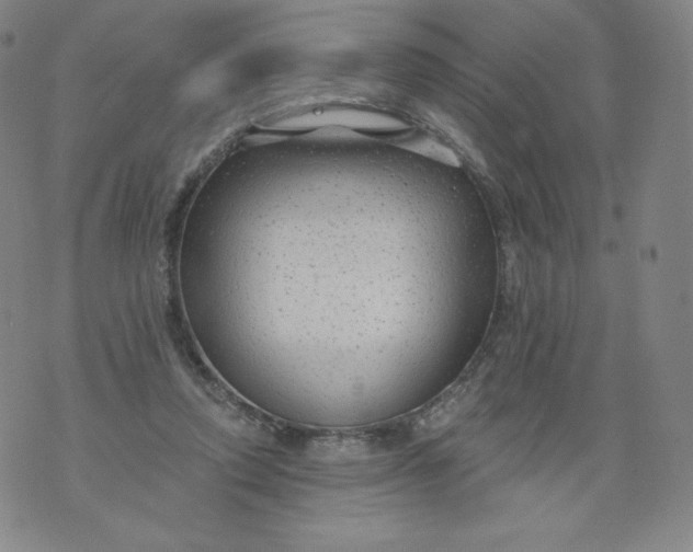 X0000074280354200609151857