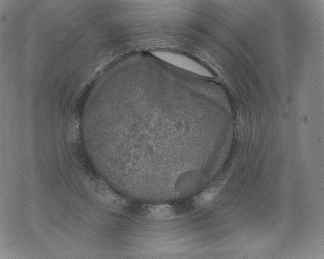 X0000074280355200609151857