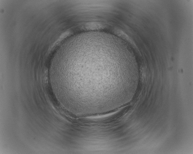 X0000074280356200609151857