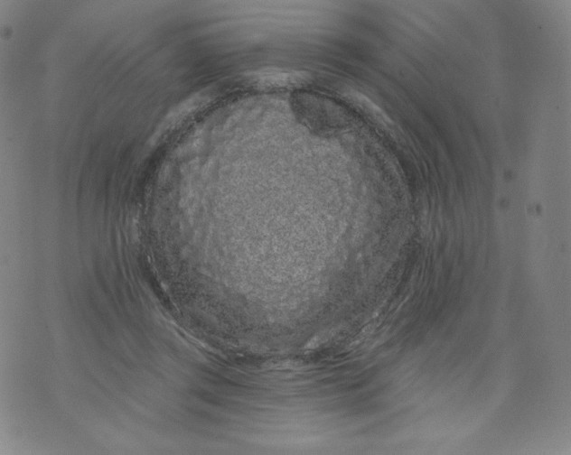 X0000074280357200609151857