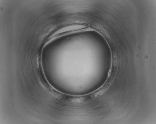 X0000074280358200609151857