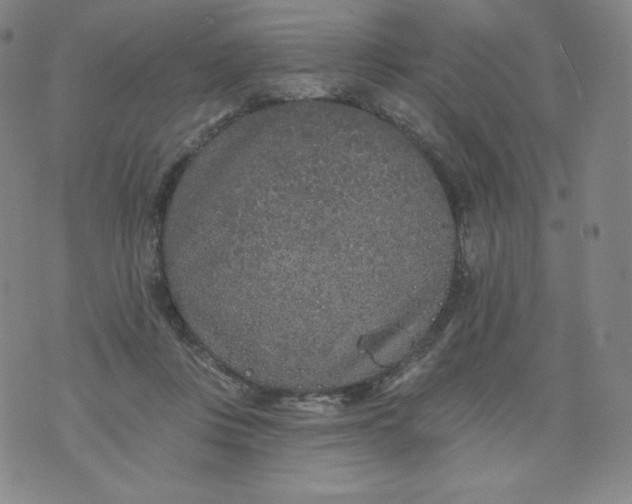 X0000074280359200609151857