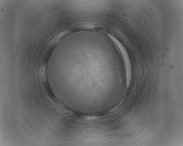 X0000074280360200609151857