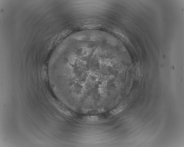 X0000074280361200609151858