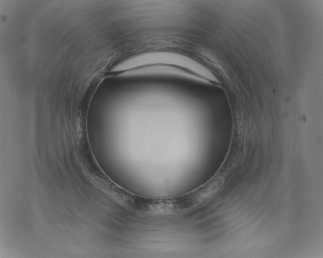 X0000074280362200609151858