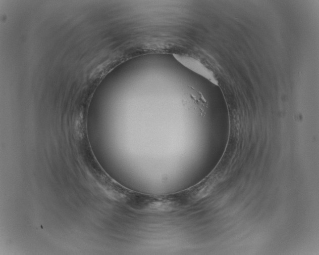 X0000074280364200609151858