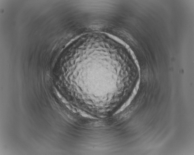 X0000074280365200609151858