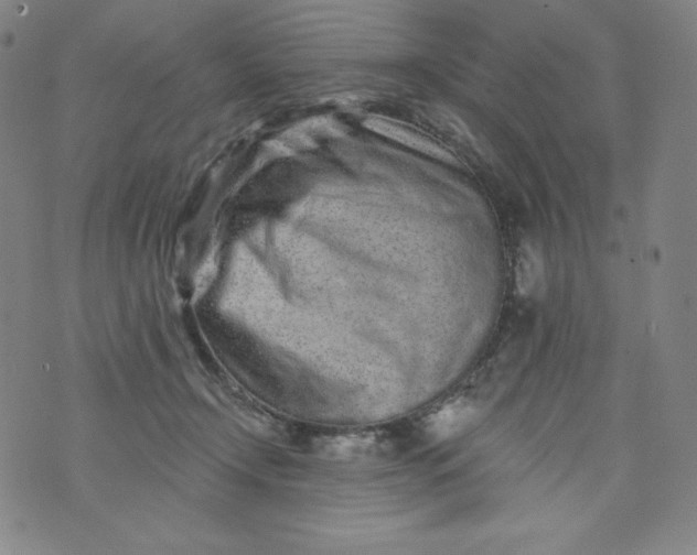 X0000074280366200609151858