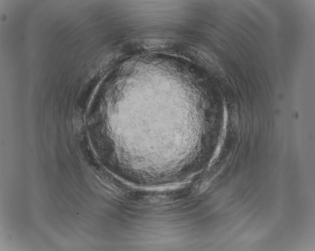 X0000074280367200609151858