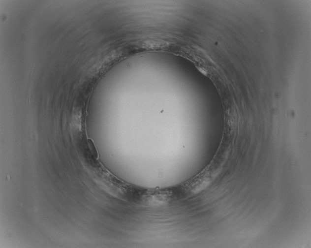 X0000074280368200609151858