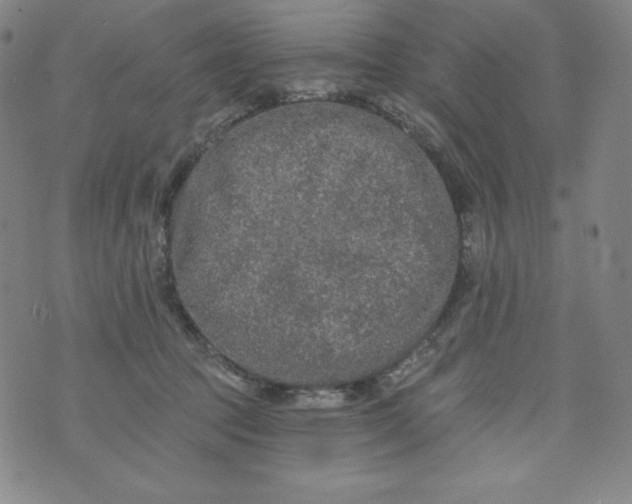 X0000074280369200609151858