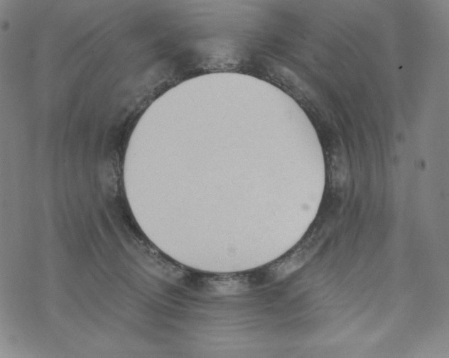 X0000074280370200609151858